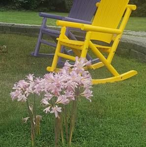 Meet your Posher, Sue